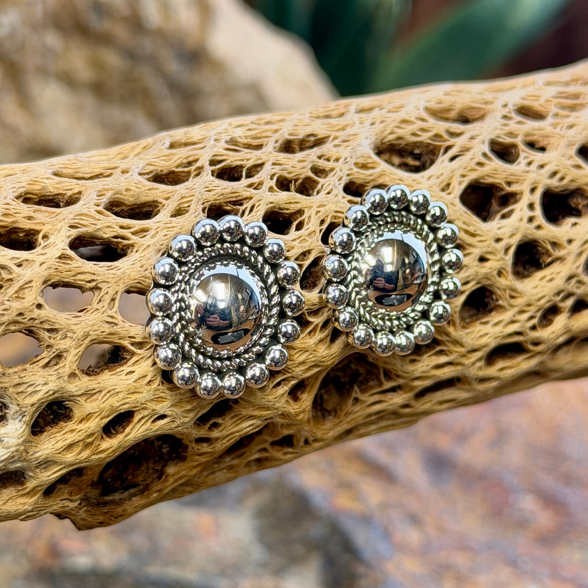 sterling silver dome earrings surrounded by inner twisted rope border and outer silver beads by artie yellowhorse. they hang on a piece of driftwood.