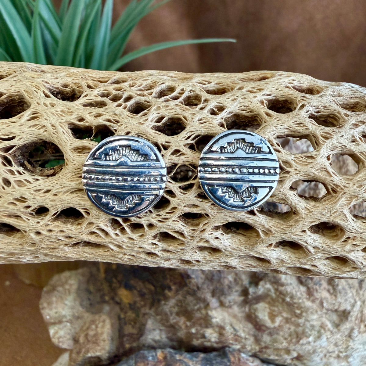 A pair of round silver-toned stud earrings with engraved geometric patterns, displayed on a textured natural cactus bone with rocks and greenery in the background.