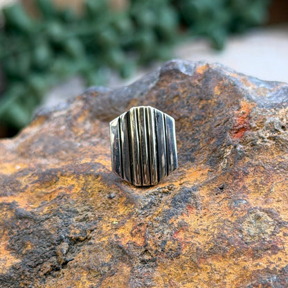 A silver-toned geometric ring with vertical ridges, displayed on a textured orange and brown rock with blurred green plants in the background.