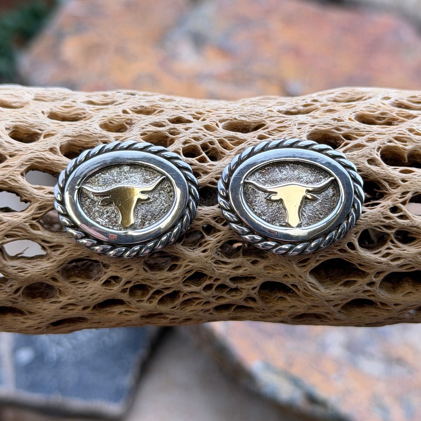 A pair of oval stud earrings with a twisted rope border, featuring a gold-toned steer head emblem on an antiqued silver-toned background, displayed on a textured tan branch with a blurred natural rock background.