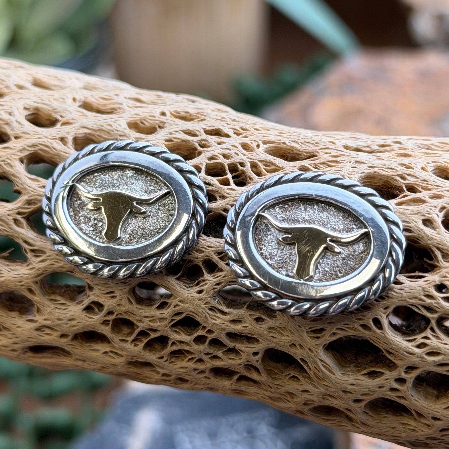 A pair of oval stud earrings with a twisted rope border, featuring a gold-toned steer head emblem on an antiqued silver-toned background, displayed on a textured tan branch with a blurred natural rock background.