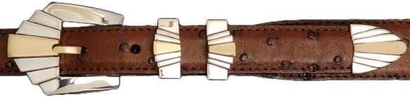 Two Tone Buckles