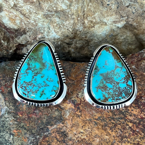 Royston Turquoise Sterling Silver Earrings by Wil Denetdale