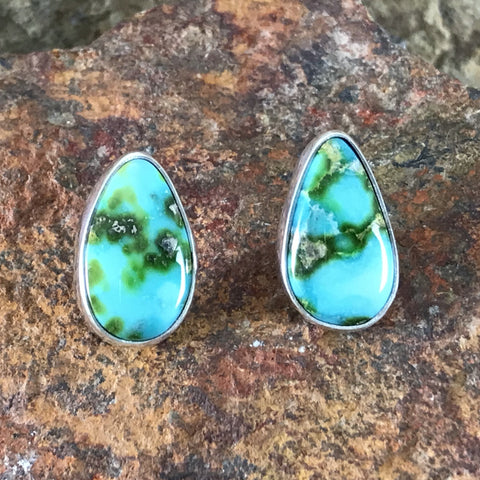 Sonoran Gold Turquoise Sterling Silver Earrings by Bernys