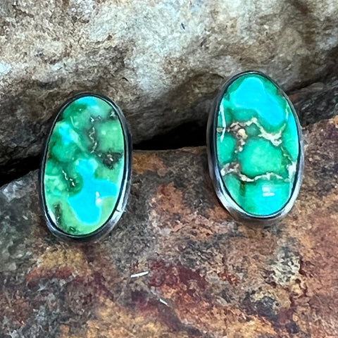 Sonoran Gold Turquoise Sterling Silver Earrings by Loretta Delgarito